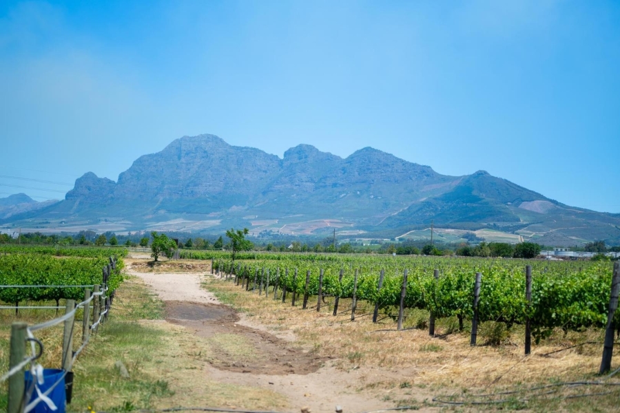 0 Bedroom Property for Sale in Val De Vie Estate Western Cape